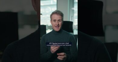 Does the AfD have a Trump dilemma? | DW News