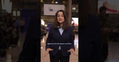 EU leaders pledge unity after Trump shockwave | DW News