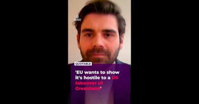 ‘EU wants to show it’s hostile to a US takeover of Greenland’