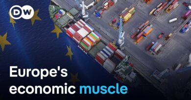 European firms have adjusted to the tariff shock | DW News