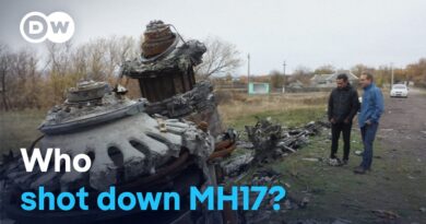 Flight MH17 – Anatomy of a crash | DW Documentary