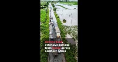 Flooding causes widespread damage across southern Africa | AJ #shorts