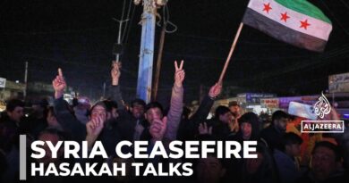 Four-day ceasefire announced in Syria: Plan to integrate Hasakah province to be discussed