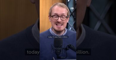 Global oil markets warily watch Trump actions | The Dip Podcast