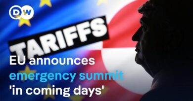 Greenland row: EU to hold emergency summit on Trump tariffs | DW News