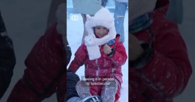 Harbin festival opens with record amount of ice and snow