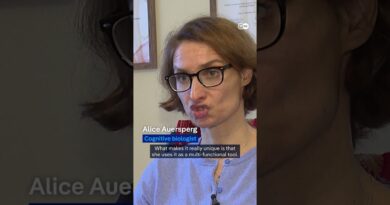 How a cow living on an organic farm in Austria has sparked interest among scientists | DW News