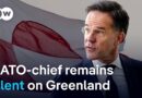 How a US takeover of Greenland could kill the NATO alliance | DW News