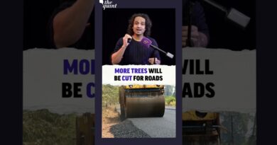 How Fadnavis Ignored Own Committee to Approve Mining In a Tiger Corridor | The Quint