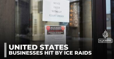 ICE immigration raids devastate small businesses in Minneapolis