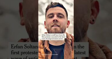 Iran Postpones Execution of Protester