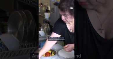 Iranian-led businesses in Germany respond to situation in their country of origin | DW News