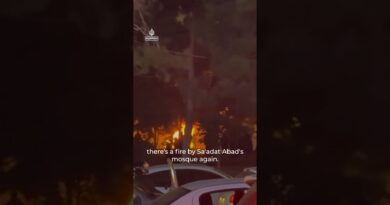 Iranians protest despite internet blackout, fly opposition flag | AJ #shorts