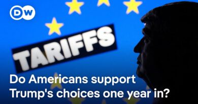 Is Trump fulfilling his economic and foreign policy promises? DW News