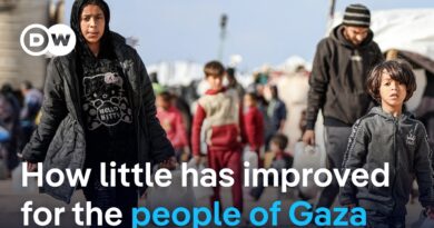 Israeli PM Netanyahu rejects White House plan for so-called “Board of Peace” for Gaza | DW News