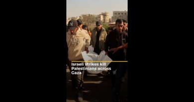Israeli strikes kill Palestinians across Gaza | AJ #shorts