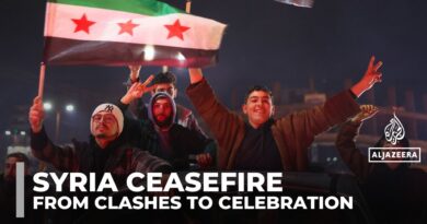 Joy, relief as Syrians celebrate ceasefire between government and Kurdish-led SDF