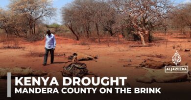 Kenya declares emergency as drought devastates Mandera County