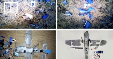 Kim’s sister blames ‘gang of hooligans’ in Seoul for drone