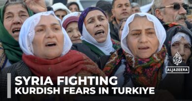 Kurds in Turkiye fear spillover as Syrian forces push into Kurdish areas