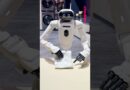 LG Electronics introduced it latest home robot, the CLOiD, at CES 2026. #ces #ces2026 #lg #humanoid