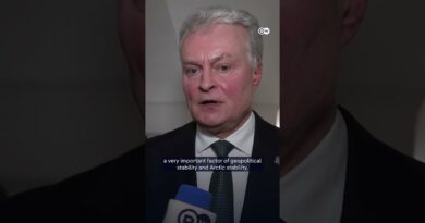 Lithuanian president reacts to US plans to “acquire” Greenland | DW News