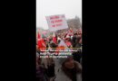 ‘Make America Go Away!’: Anti-Trump protests erupt in Denmark | #ajshorts