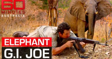 Meet the Aussie rambo fighting to save Africa’s elephants | 60 Minutes