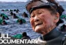 Meet the Oldest Sea Divers in the World | The Last Mermaids | Free Documentary