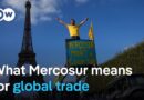 Mercosur: How Europe aims to reposition trade in the Trump era | DW News