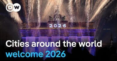 New Year’s celebrations around the world | DW news
