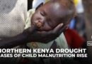 Northern Kenya faces severe child malnutrition crisis driven by prolonged droughts