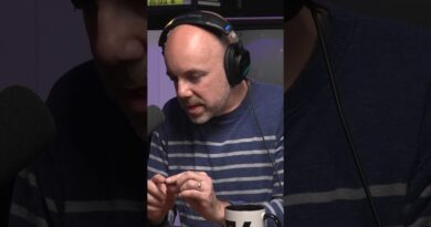 On Version History, we look back at Flappy Bird, and how its clones just never hit the same.