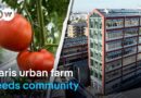 Paris urban farm feeds the city, and its community spirit | DW News