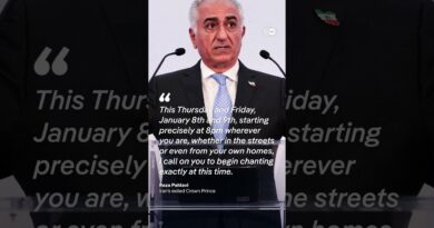 Protesters have been marching across Iran in anti-government demonstrations  | DW News