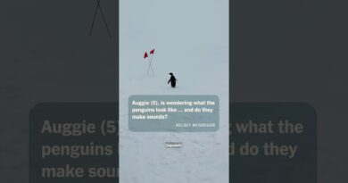 Q&A: Sounds of Antarctica? Flying in the Cold? | Journey to Antarctica: Part 14