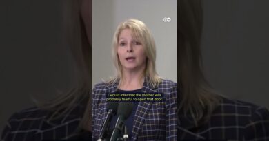 Reaction to ICE agents detaining 5-year-old in Minnesota | DW News