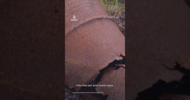 Remnants of abandoned US base leech toxic waste in Greenland | AJ #shorts