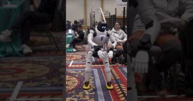 Robots of all sizes have taken over CES 2026. #ces2026