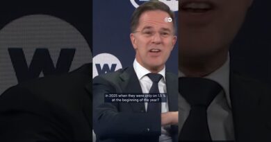 Rutte praises Trump on defense spending | DW News