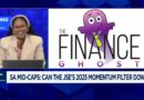 SA Mid-Caps: Can the JSE’s 2025 momentum filter down?
