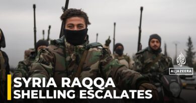Shelling in Raqqa province amid fast-moving situation: AJE correspondent