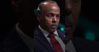 Somali minister blames UAE support for ‘fragmentation’ of Somalia | AJ #shorts
