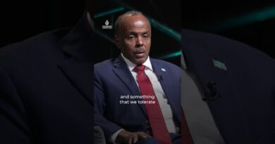 Somali minister explains why UAE ‘smuggling’ of fugitive was ‘last straw’ | AJ #shorts