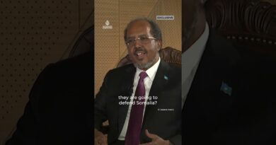 Somali president blames ISIL and al-Shabab for ‘destroying’ country | AJ #shorts