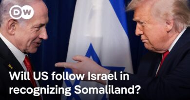 Somaliand denies it will take in Palestinians or host Israeli military base | DW News