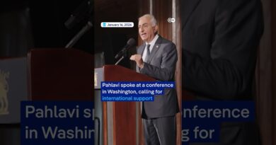 Son of Iran’s last Shah appeals for help | DW News