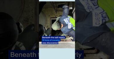 Spain’s largest cocaine seizure | DW News