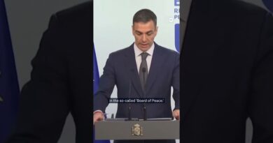 Spanish PM Sanchez declines Trump’s ‘Board of Peace’ invitation | DW News