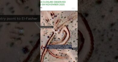 Sudan: Surviving abuse under the RSF | DW News